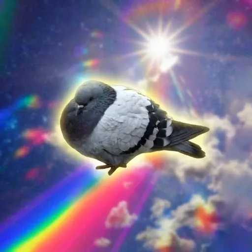 pijon