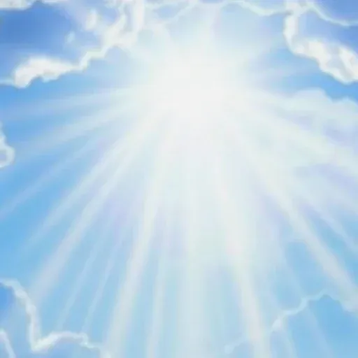 RAYS