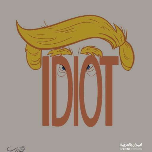 IDIOT