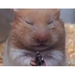 Hammie