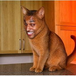 CATSEM