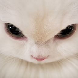 meow