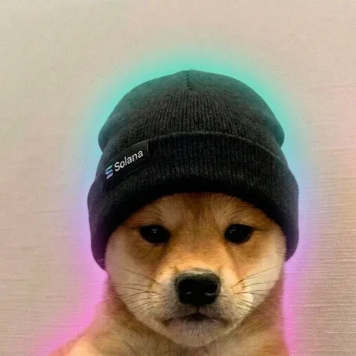 beanie