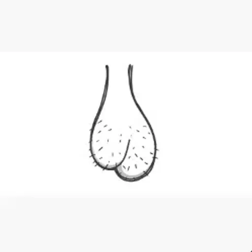 BALLSACKDORKL