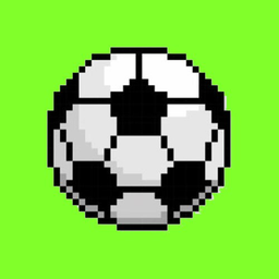 Soccerbro
