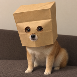 ZDOG