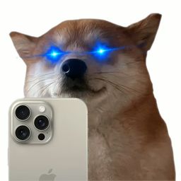 $SSD