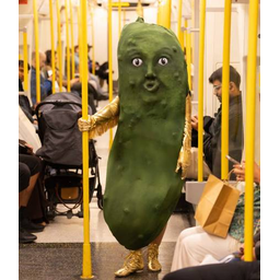 Pickle