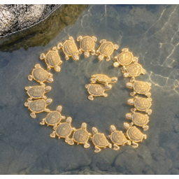 turtles
