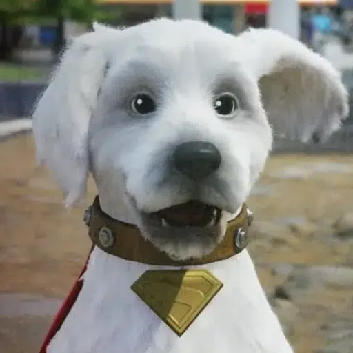 Krypto