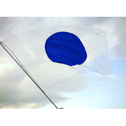 1WORLDFLAG