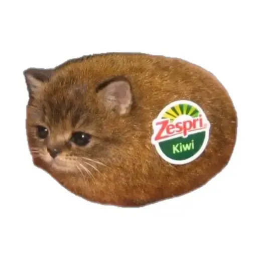 Miwi