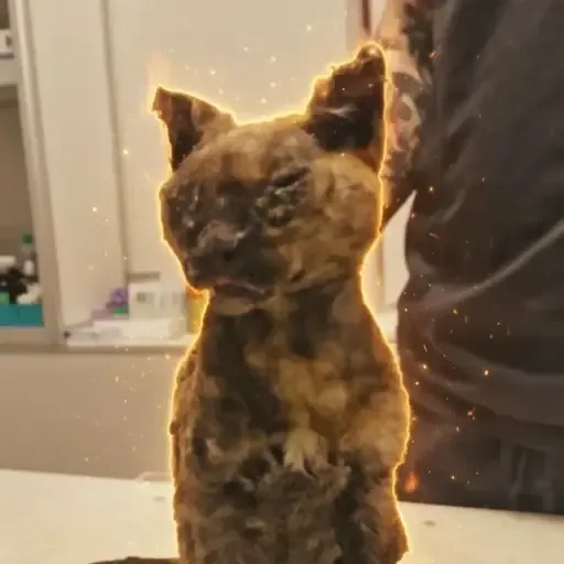Artemis