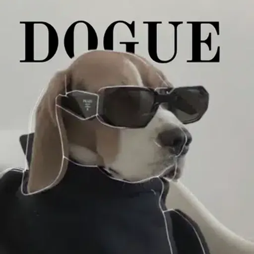 Dogue