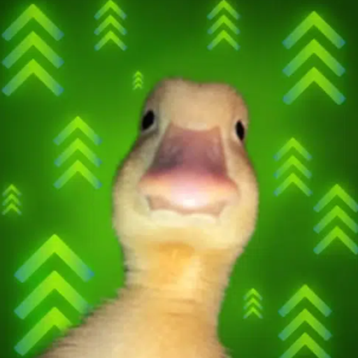 DIP