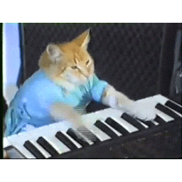 KEYCAT