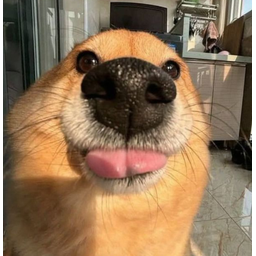bleh