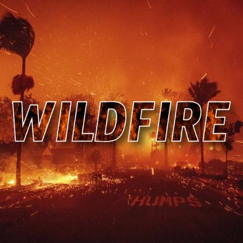 Wildfire