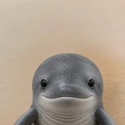 whale