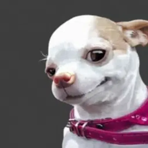 SMILEDOG