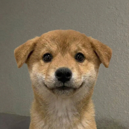 pfp