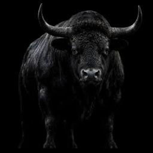 BULL