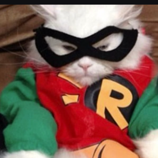 $Robincat