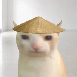 CHAT