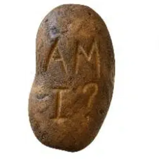 potato