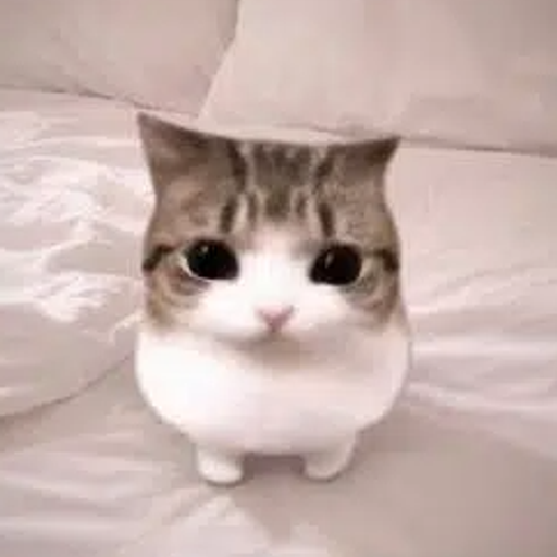 Meowpin