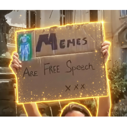 MEMES