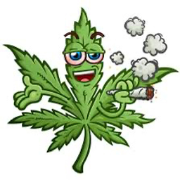 GANJA