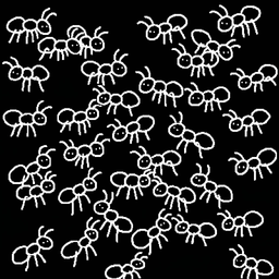 Ants