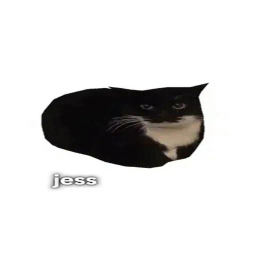 jess