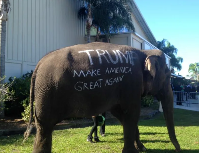 TRUMP