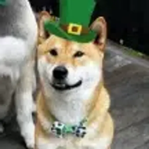 Floki