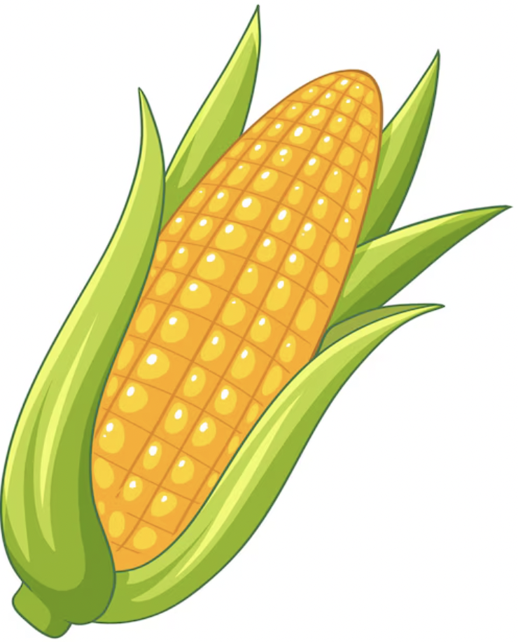 CORN