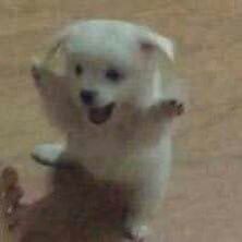 AAA