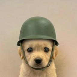 pup