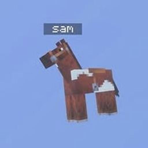 SAM