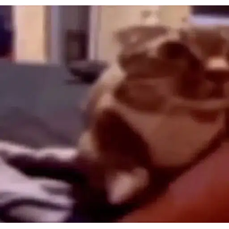 ACAT