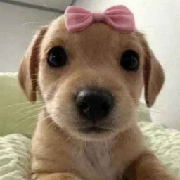 Milly