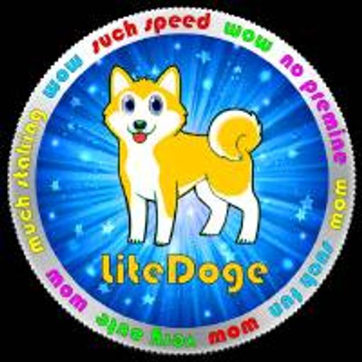 LDOGE