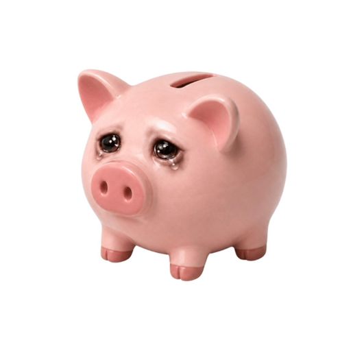 cashpiggy