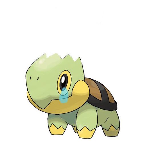 tutle