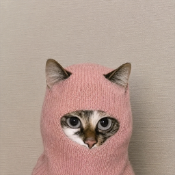 ROB