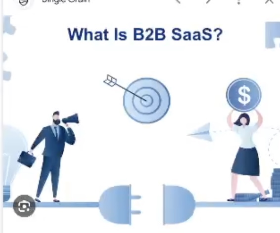 B2BSAAS