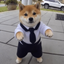 DanceInu
