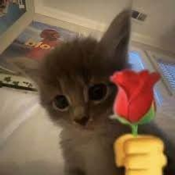 ILY
