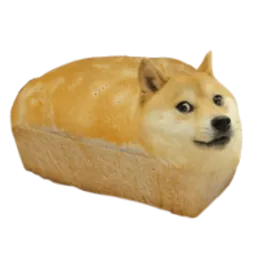 Dogebread